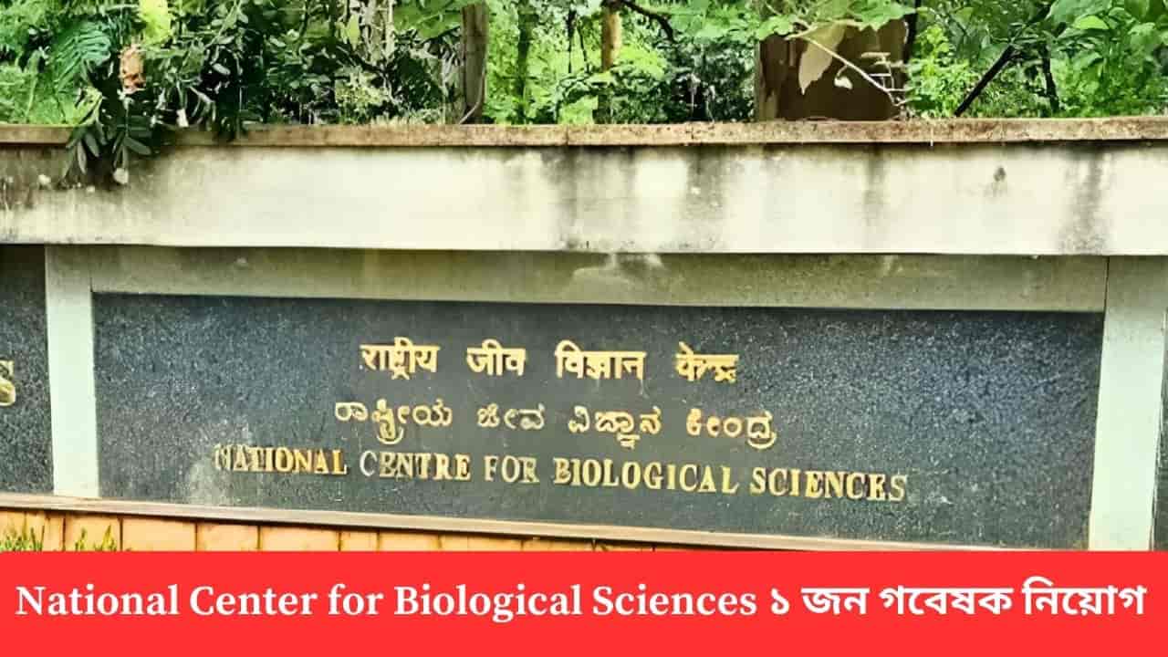 ncbs-recruitment-multimedia-developer-kolkata-2025 ncbs-recruitment-multimedia-developer-kolkata-2025